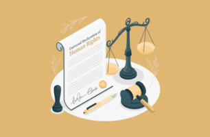 Legal & IP